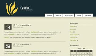 Создание сайтов в Туле от 2000 р. Частный вебмастер
